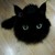 :iconinesproxima: