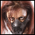 :iconinezmayuri: