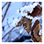 :iconinfamousspace: