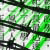 :iconinfectionz: