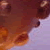 :iconinferiorxconcubine: