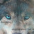 :iconinferno-larka: