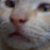 :iconinferno8drei:
