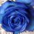 :iconinfinite-entendre: