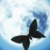 :iconinfinite11:
