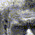 :iconinfinitedarlene: