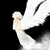 :iconinfinitefantasy: