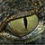 :iconinfinity-plus-2: