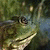 :iconinfinityandone: