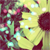 :iconinfinitybegins: