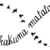 :iconinfinitygalaxy: