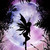 :iconinfinitymoon: