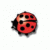 :iconinfoFDS: