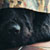:iconinfopouet: