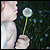 :iconInFormaldehyde: