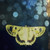 :iconingaindigo:
