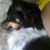 :iconingercris: