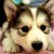 :iconinghet: