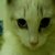 :iconingramwolf:
