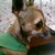 :iconingridmelchor5467: