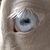 :iconingunny: