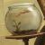 :iconInk-Bleeder: