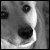 :iconink-dphotography: