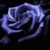 :iconink-rose: