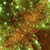 :iconink-spell: