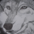 :iconInkAngel: