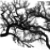 :iconinkeara: