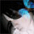 :iconinkmenot: