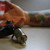 :iconinkmonk: