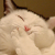 :iconinkpools: