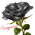 :iconinkyblackrose:
