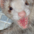 :iconInkyGipsy: