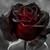 inkyohsokinky :iconinkyohsokinky: