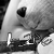:iconinmate-306: