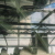 :iconInMotionAgain: