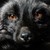 :iconinnaturesimage: