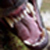 :iconinnerwolf88: