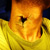 :iconinnipukinn: