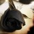:iconinnmey: