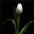 :iconinnocence0731: