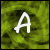 :iconinnocent-kitten:
