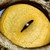 :iconinnocenteye001: