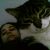 :iconinnocentfreespirit: