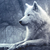 :iconinnocentra: