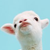 :iconinnocuous-me: