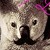 :iconinnovatingpanda: